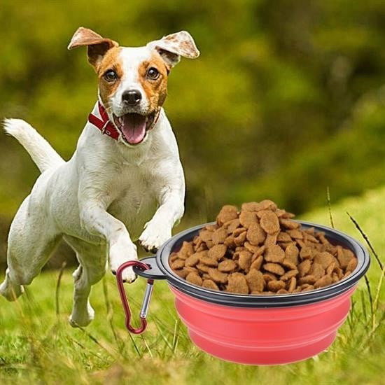 JetBura® Katlanabilir Kedi Köpek Mama ve Su Kabı Köpek Oyuncağı